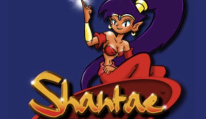 Are Shantae Fans Going To Finally Have Their Wish Granted?