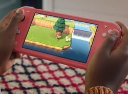 Nintendo's Business Remains Strong, But Is The Bloom Off Switch Lite?