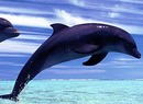 My Dolphin (WiiWare)