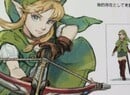 Could Female Link Be In Hyrule Warriors On 3DS?