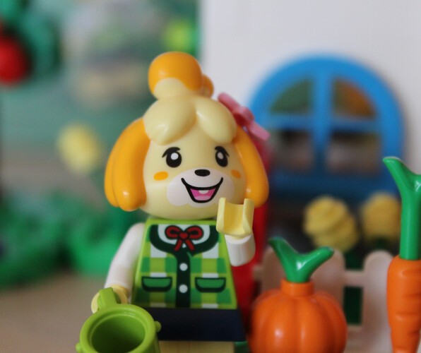 LEGO Animal Crossing - Isabelle’s House Visit 12