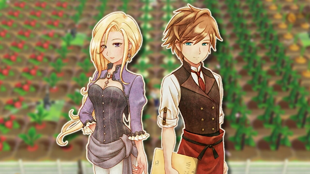 story of seasons a wonderful life differences