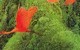 Secret of Mana