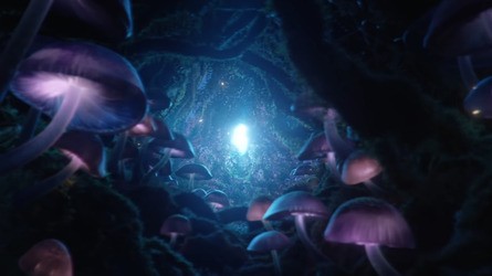 MUSHROOM