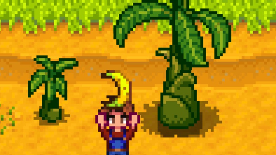 Banana Tree Stardew Valley