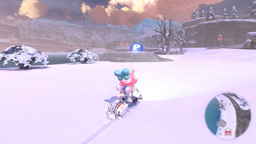Snow P Switch 7