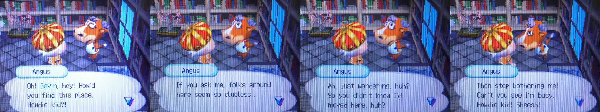 Animal Crossing Wild World Angus