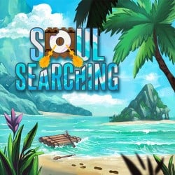Soul Searching Cover