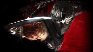 Team Ninja is now two teams