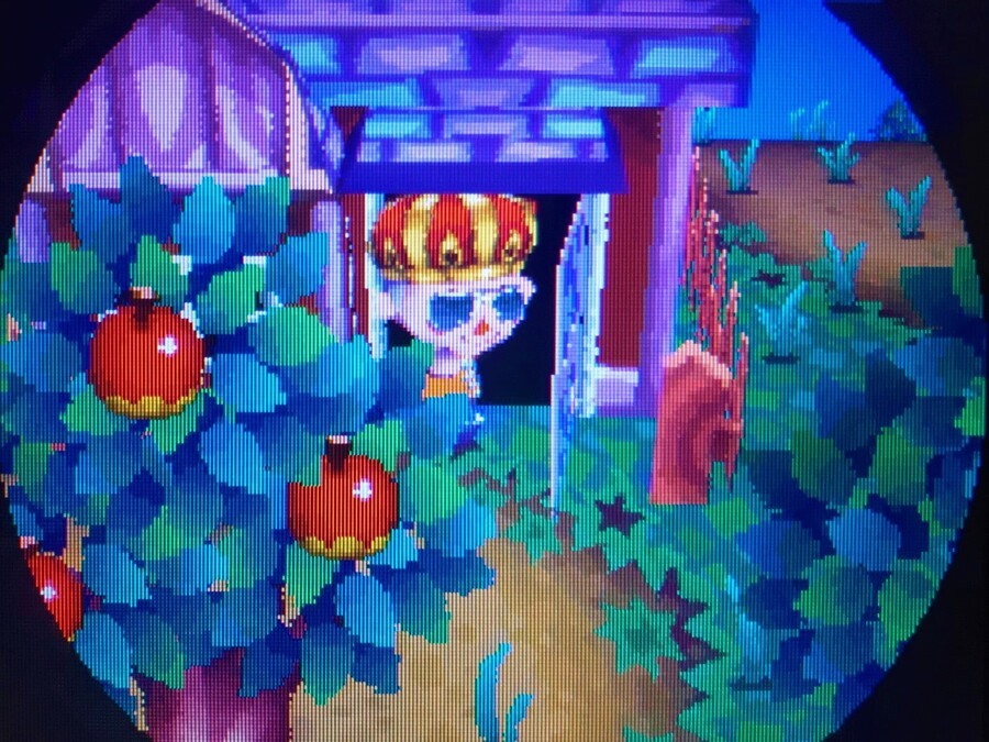 Animal Crossing Wild World Goodbye