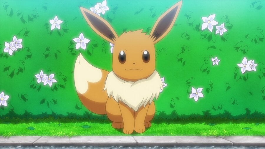 Eevee Chloe Pokemon Anime