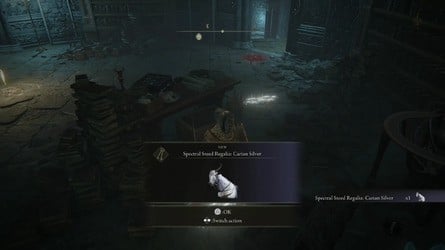 Elden Ring Tarnished Edition content
