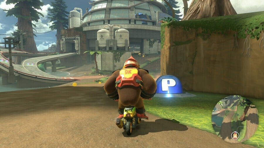 Jungle Safari Switch 19