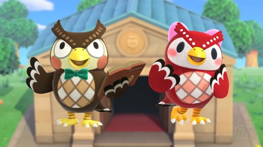 Superb Owl - Blathers & Celeste