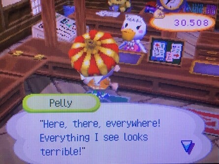 Animal Crossing Wild World Pelly Feedback