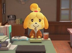Hotel Returns Lost Switch To Owner, And Even Looks After Their Animal Crossing Island