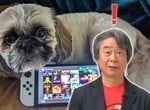 Don't Let Pets Wii On Your Switch, Warns Nintendo