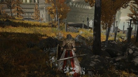 Elden Ring Tarnished Edition content