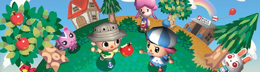 Animal crossing online new horizons ds