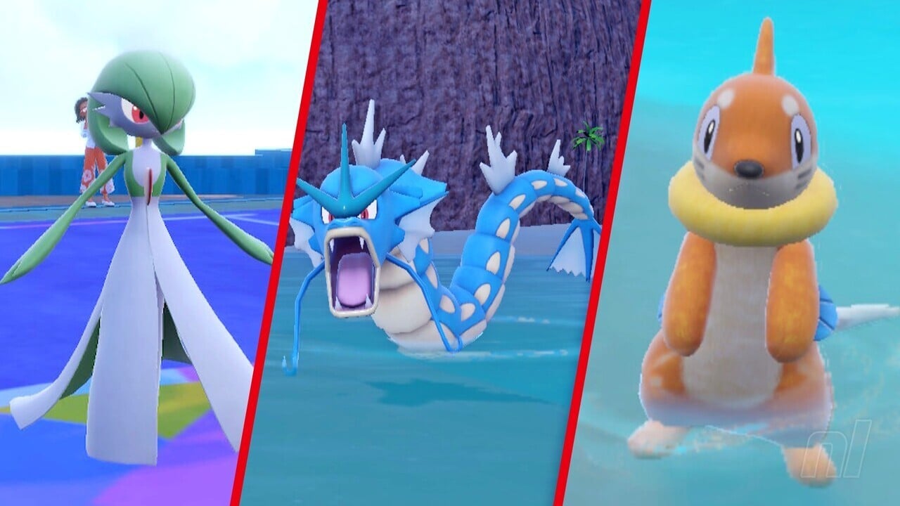 Gen 9 Lengendary Pokémon Evolution & Egg : Koraidon - Miraidon