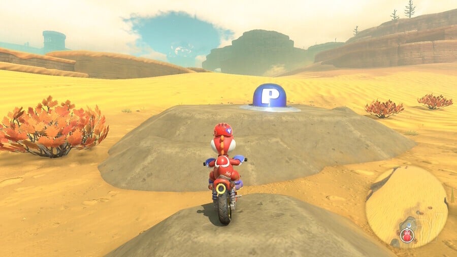 Desert P Switch 29
