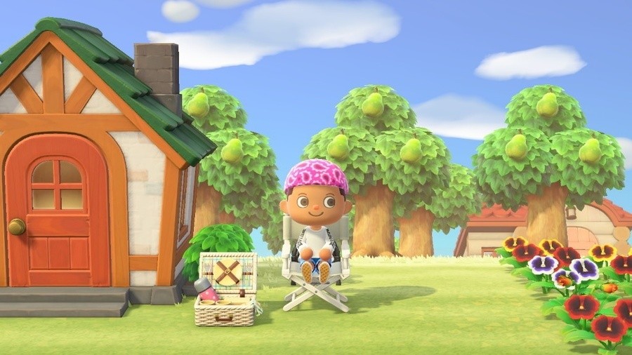 Reggie Animal Crossing