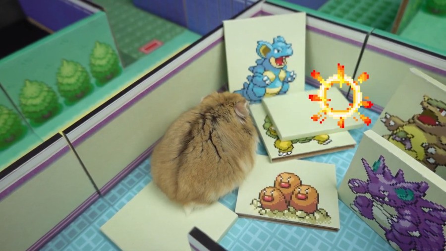 Hamster Pokémon Maze