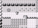Pokémon Red Glitch Used to Beat Another Game Boy Title With a 'Credits Warp'