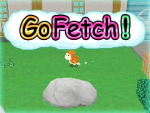 Go Fetch!