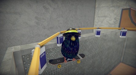 SkateBIRD