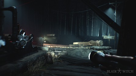 BW Switch Logging Logo