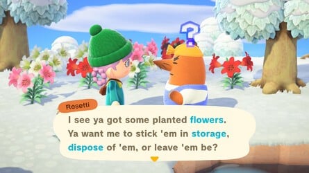Resetti's Reset Service Animal Crossing: New Horizons 3.0 Update