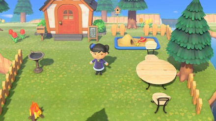 Animal Crossing New Horizons