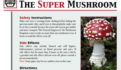 Get Technical With The Science of the Mushroom Kingdom