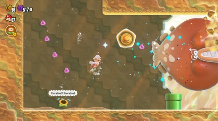 Super Mario Bros. Wonder Walkthrough: Petal Isles - Leaping Smackerel 11