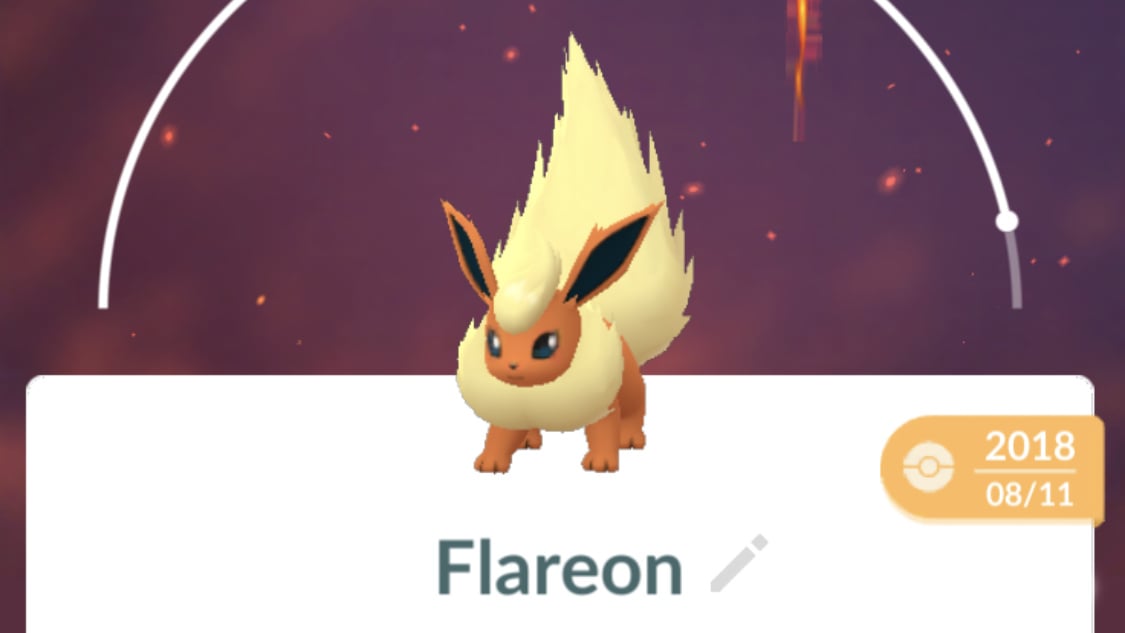 Pokémon GO Eevee Evolutions Ranked - How To Get Sylveon, Leafeon, Glaceon,  Umbreon, Espeon, Vaporeon, Jolteon And Flareon