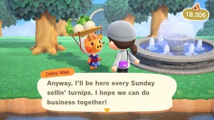 Animal Crossing New Horizons