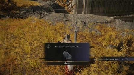 Elden Ring Tarnished Edition content