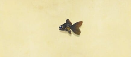 8. Pop Eyed Goldfish Animal Crossing New Horizons Fish