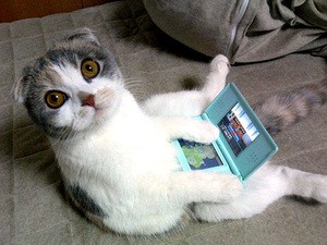 Not the kind of kitty required to save for a DS