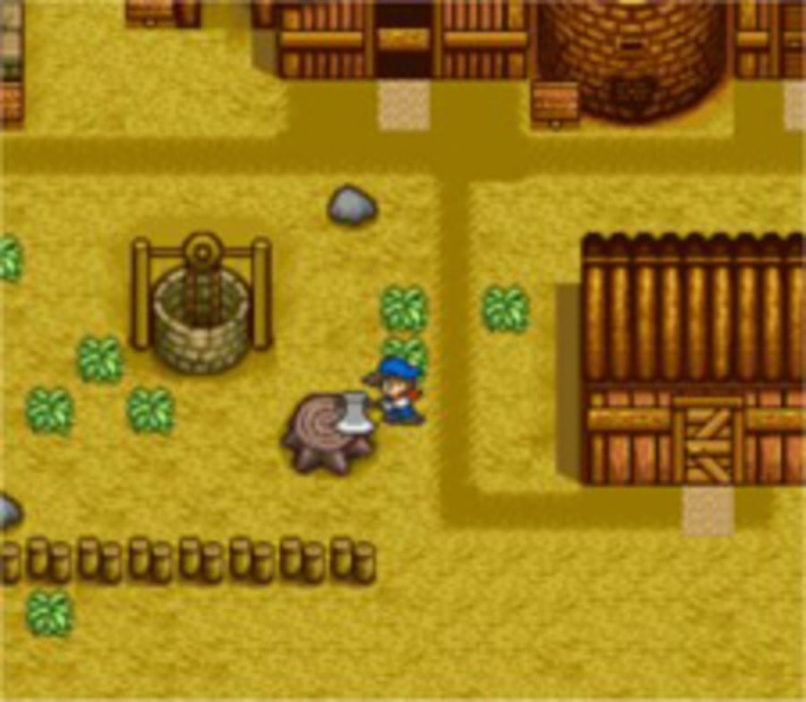 Manage a farm in Harvest Moon