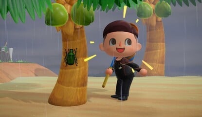 Animal Crossing: New Horizons: Beetles - Where, When And How To Catch Every Beetle