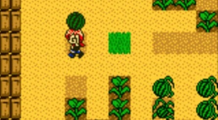 Harvest Moon 1 and 2 on the Game Boy Colour