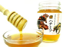 Check Out This Monster Hunter Generations Themed Honey