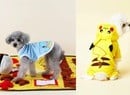 This New Range Of Pokémon Merch For Dogs Will Melt Your Heart