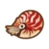 Chambered Nautilus