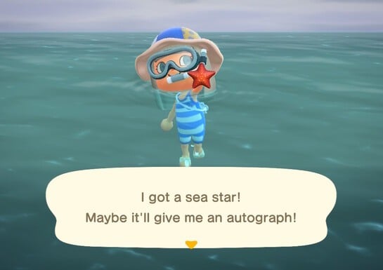 Animal Crossing: New Horizons: Sea Creatures - Complete List And Price Guide