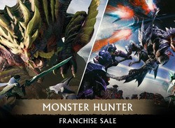 Nintendo's Monster Hunter Sale Discounts Five Games And Lots Of Rise DLC