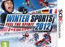 3DS and Wii Get Frosty with Winter Sports 2012