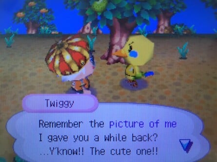 Animal Crossing Wild World Twiggy